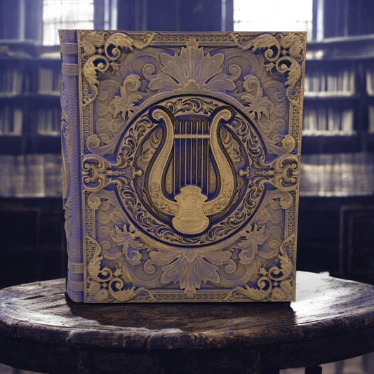 Bard Tome, Dice and Card Storage, D&D, MTG