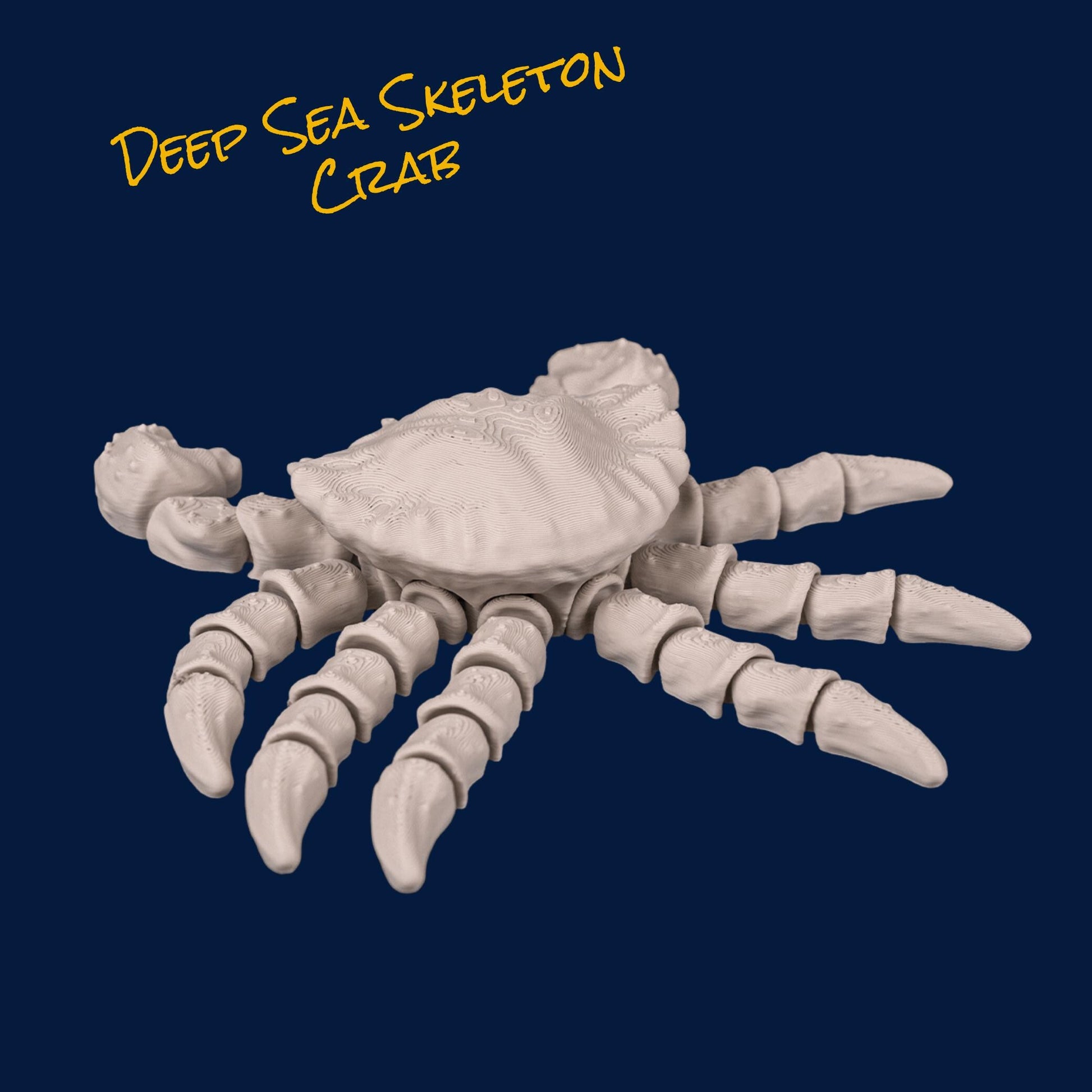 3D Printed Flexi Deep Sea Skeletons – Articulated Critter Collection