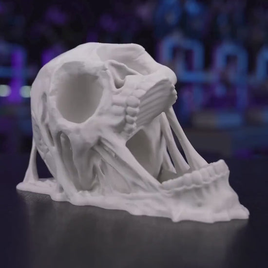 Doom Skull Dice Tower, Dark Fantasy RPG Accessory, 3D Printed Tabletop Roller